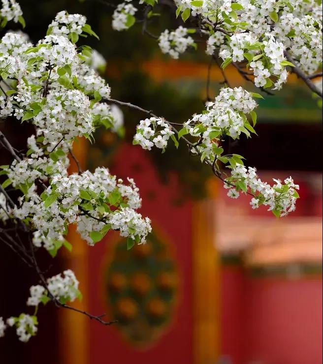 mg冰球突破·豪华版(试玩)官网首页