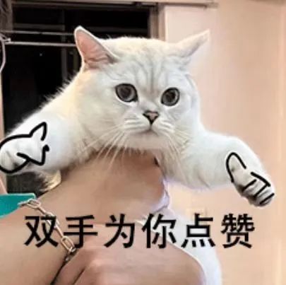 mg冰球突破·豪华版(试玩)官网首页