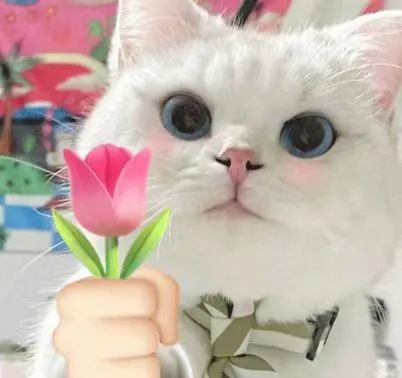 mg冰球突破·豪华版(试玩)官网首页