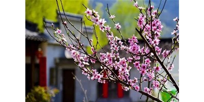 阳春三月，，，，mg冰球突破精机一大波展会即未来袭，，，，您准备好了吗？？